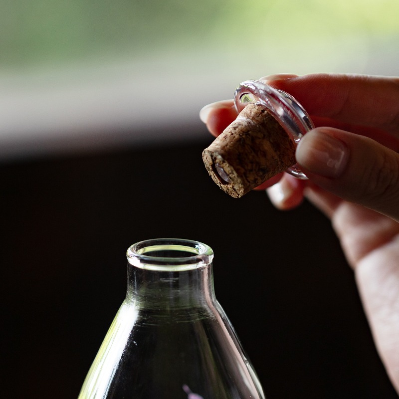 High Borosilicate Glass Bottle - огляд і ціна Cold Brew Bottle