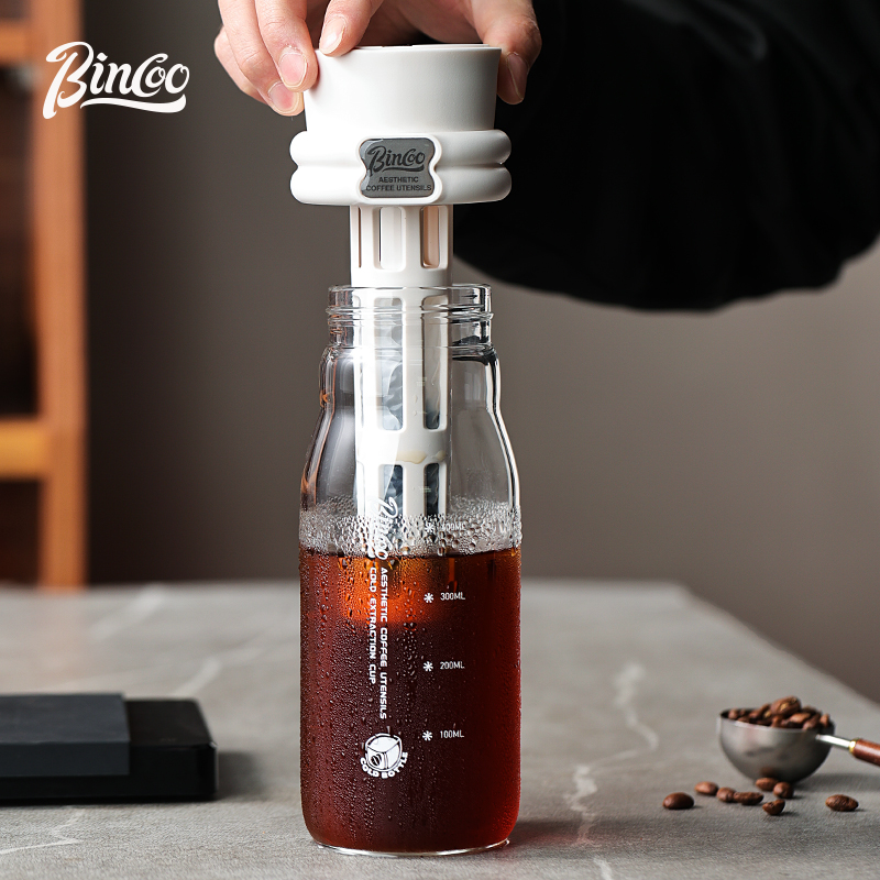 Bincoo 600ML Summer Cold Brew  - огляд і ціна Cold Brew Bottle